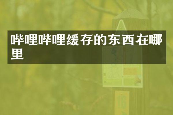 哔哩哔哩缓存的东西在哪里