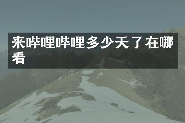 来哔哩哔哩多少天了在哪看