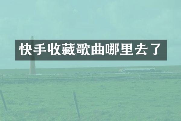 快手收藏歌曲哪里去了