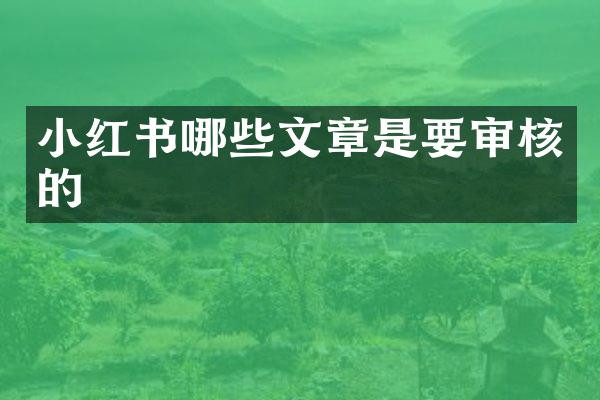 小红书哪些文章是要审核的
