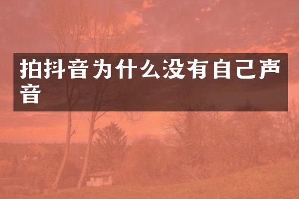 拍抖音为什么没有自己声音