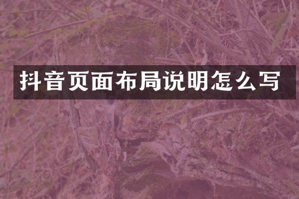 抖音页面布局说明怎么写