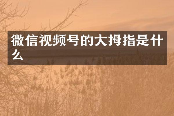 微信视频号的大拇指是什么