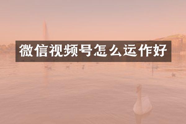 微信视频号怎么运作好