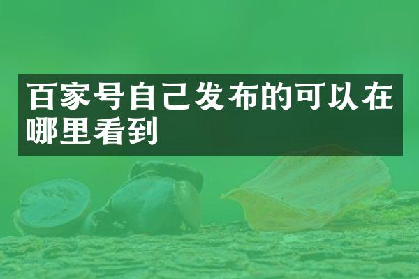 百家号自己发布的可以在哪里看到