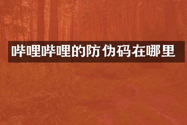 哔哩哔哩的防伪码在哪里