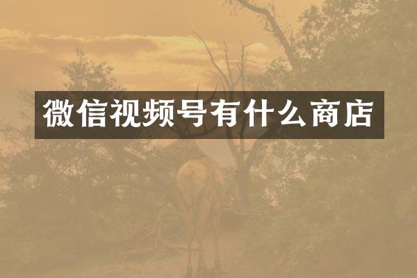 微信视频号有什么商店