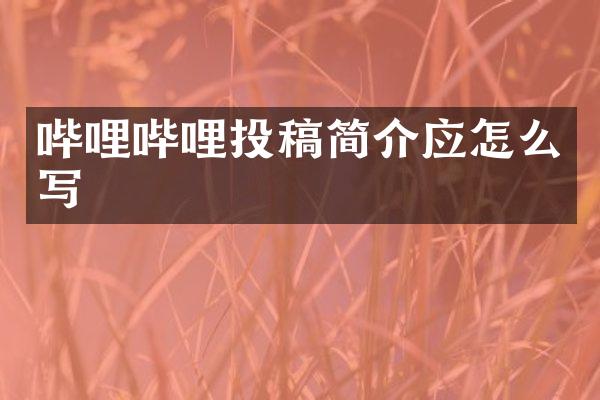 哔哩哔哩投稿简介应怎么写