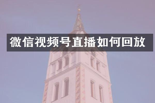 微信视频号直播如何回放