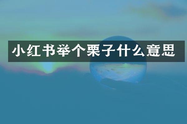 小红书举个栗子什么意思
