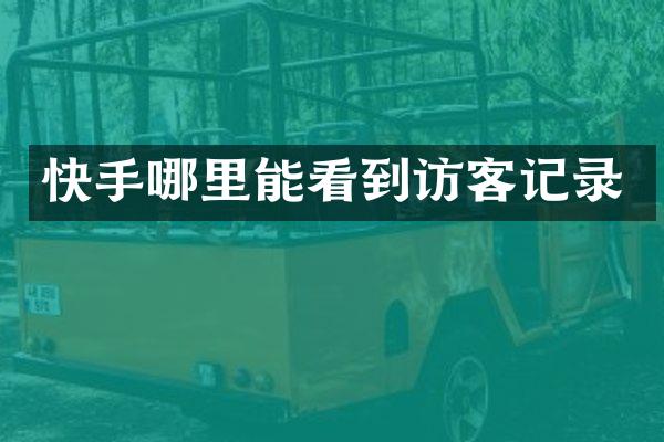 快手哪里能看到访客记录