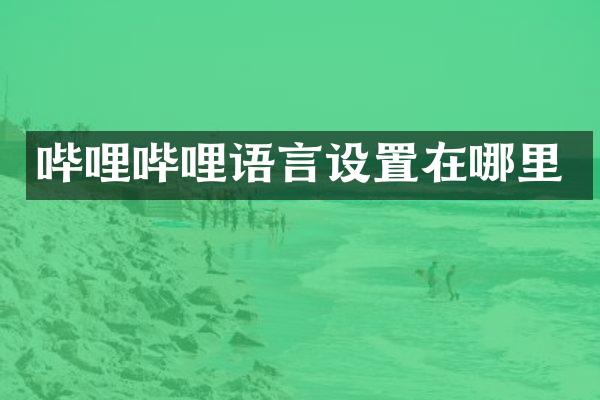 哔哩哔哩语言设置在哪里