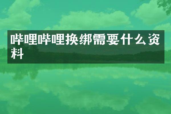 哔哩哔哩换绑需要什么资料