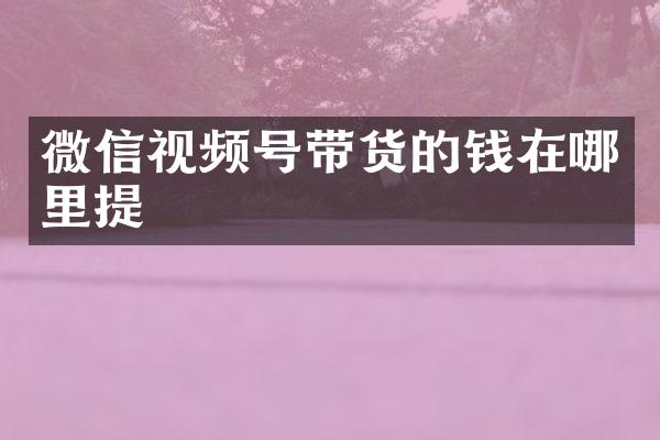 微信视频号带货的钱在哪里提