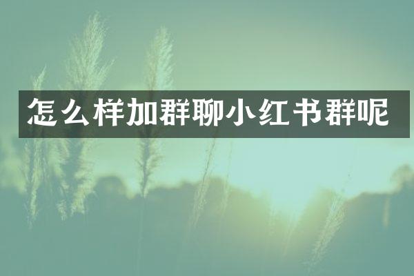 怎么样加群聊小红书群呢