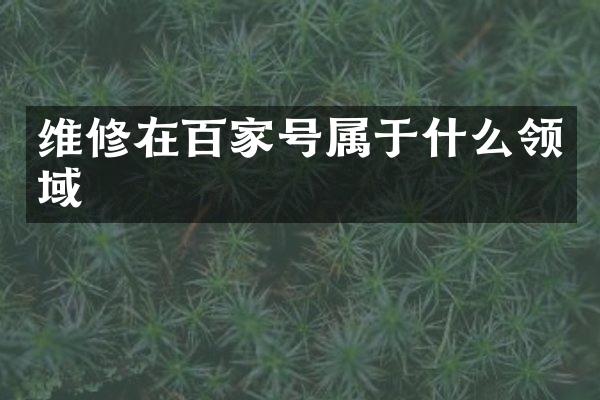 维修在百家号属于什么领域