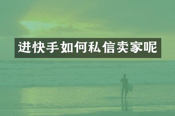 进快手如何私信卖家呢