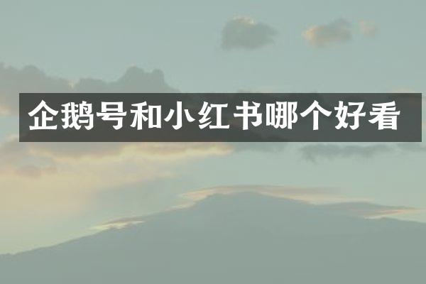 企鹅号和小红书哪个好看
