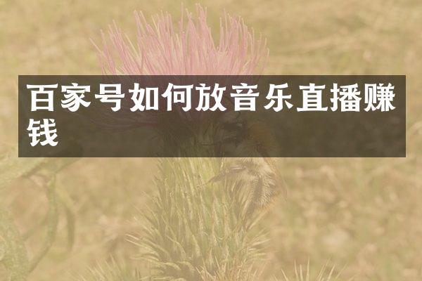 百家号如何放音乐直播赚钱