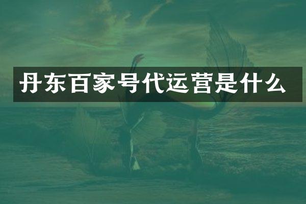丹东百家号是什么