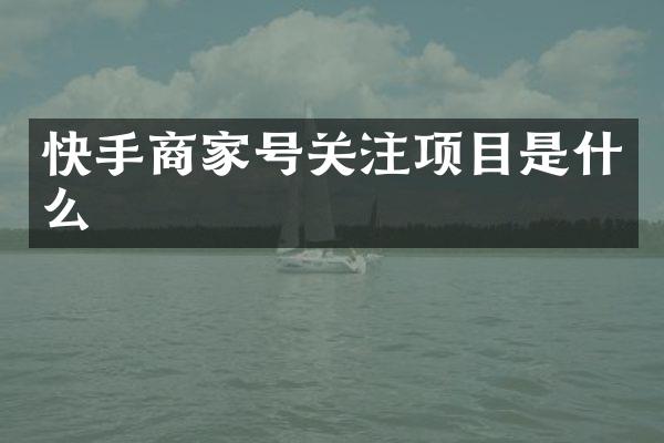 快手商家号关注项目是什么