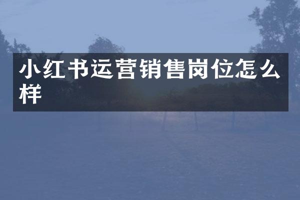 小红书运营销售岗位怎么样