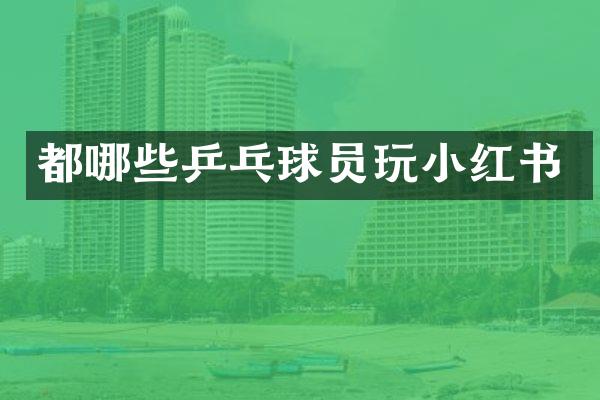都哪些乒乓球员玩小红书