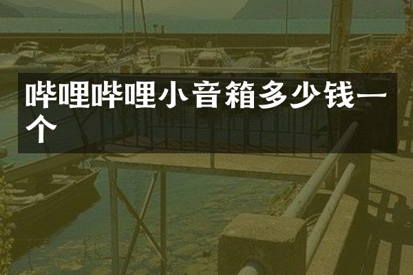 哔哩哔哩小音箱多少钱一个