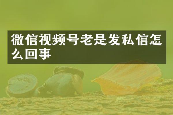 微信视频号老是发私信怎么回事