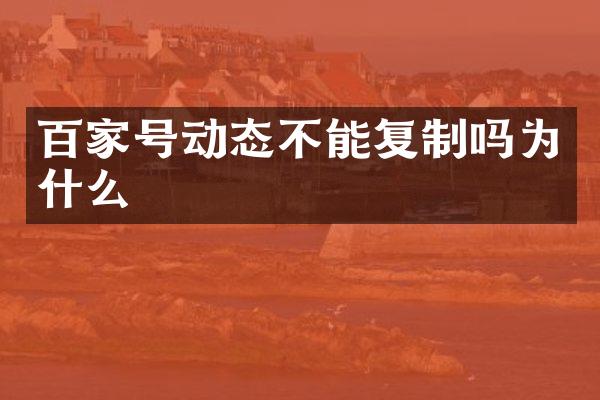 百家号动态不能复制吗为什么