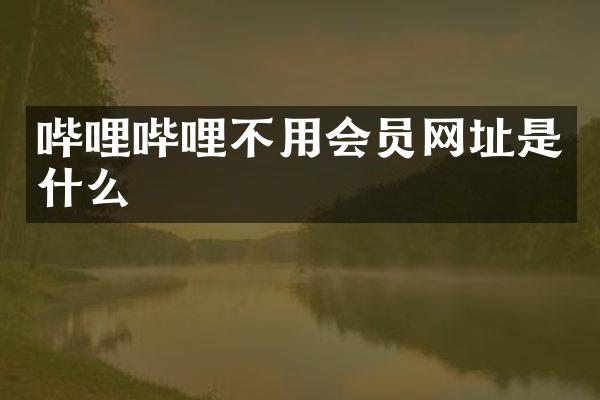 哔哩哔哩不用会员网址是什么