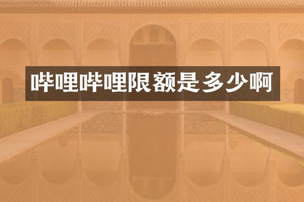 哔哩哔哩限额是多少啊