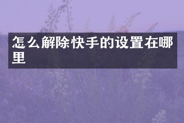 怎么解除快手的设置在哪里
