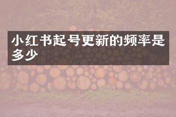 小红书起号更新的频率是多少