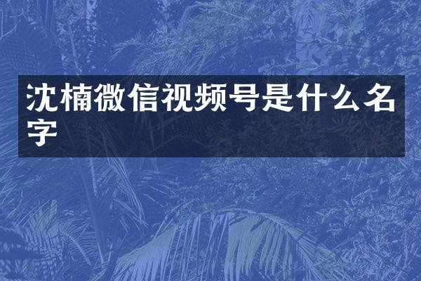 沈楠微信视频号是什么名字