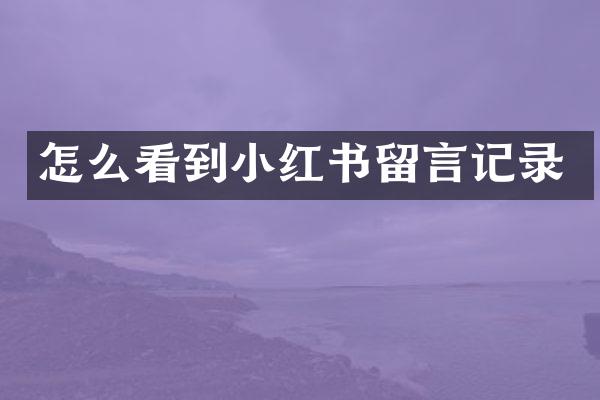 怎么看到小红书留言记录