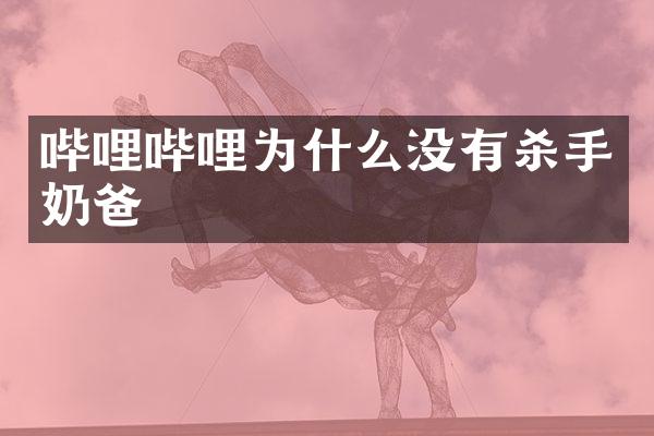 哔哩哔哩为什么没有杀手奶爸