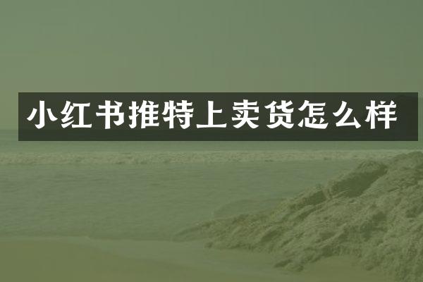 小红书推特上卖货怎么样