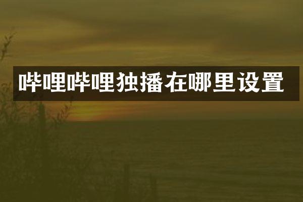 哔哩哔哩独播在哪里设置