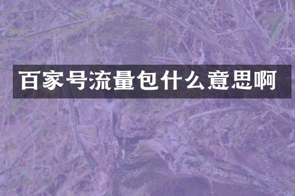 百家号流量包什么意思啊