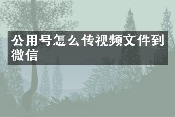 公用号怎么传视频文件到微信