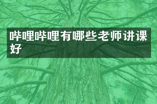 哔哩哔哩有哪些老师讲课好