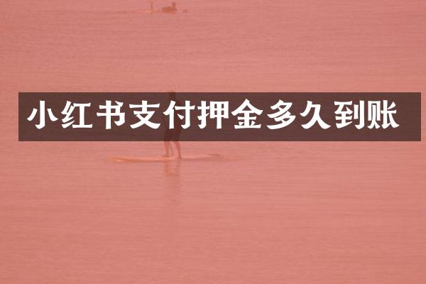 小红书支付押金多久到账