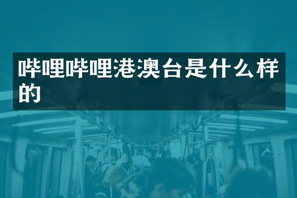 哔哩哔哩港澳台是什么样的