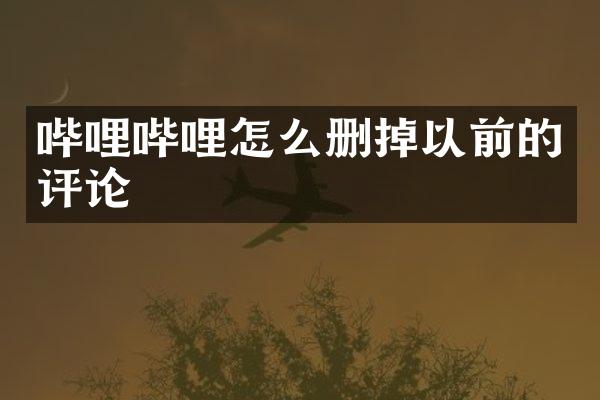 哔哩哔哩怎么删掉以前的评论