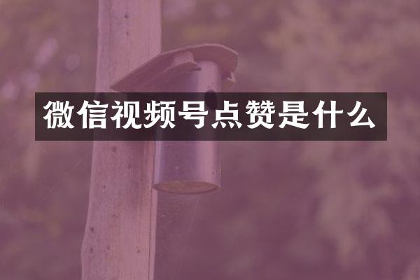 微信视频号点赞是什么
