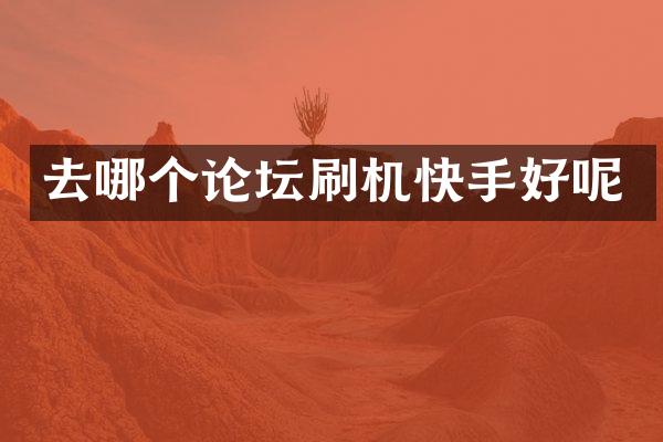 去哪个论坛刷机快手好呢