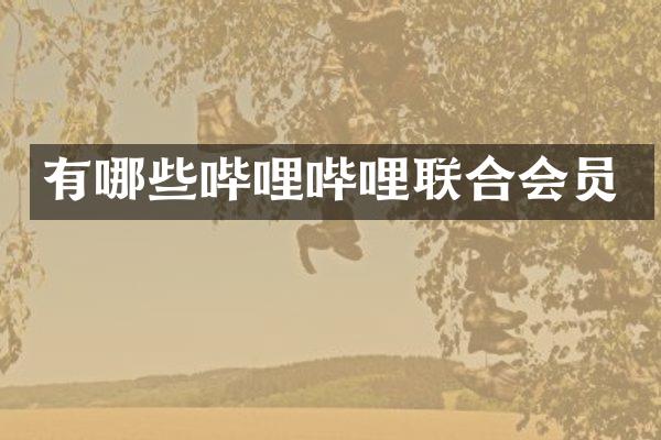 有哪些哔哩哔哩联合会员