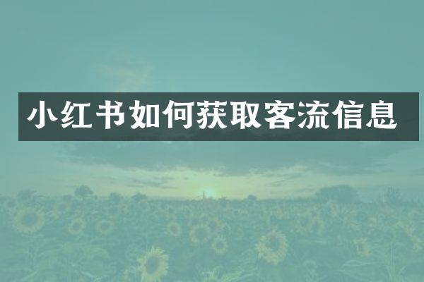 小红书如何获取客流信息