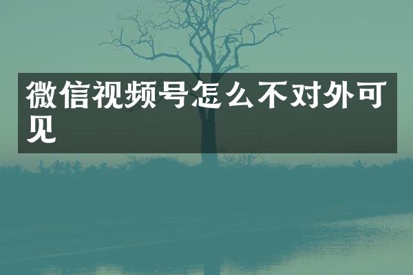 微信视频号怎么不对外可见